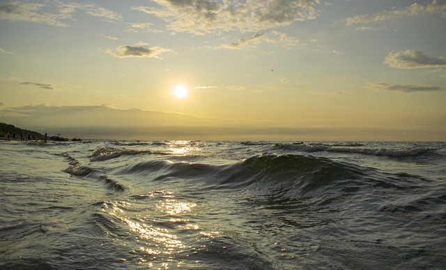 wolontariusze podczas wydarzenia lokalnego w Polsce, wspólna praca